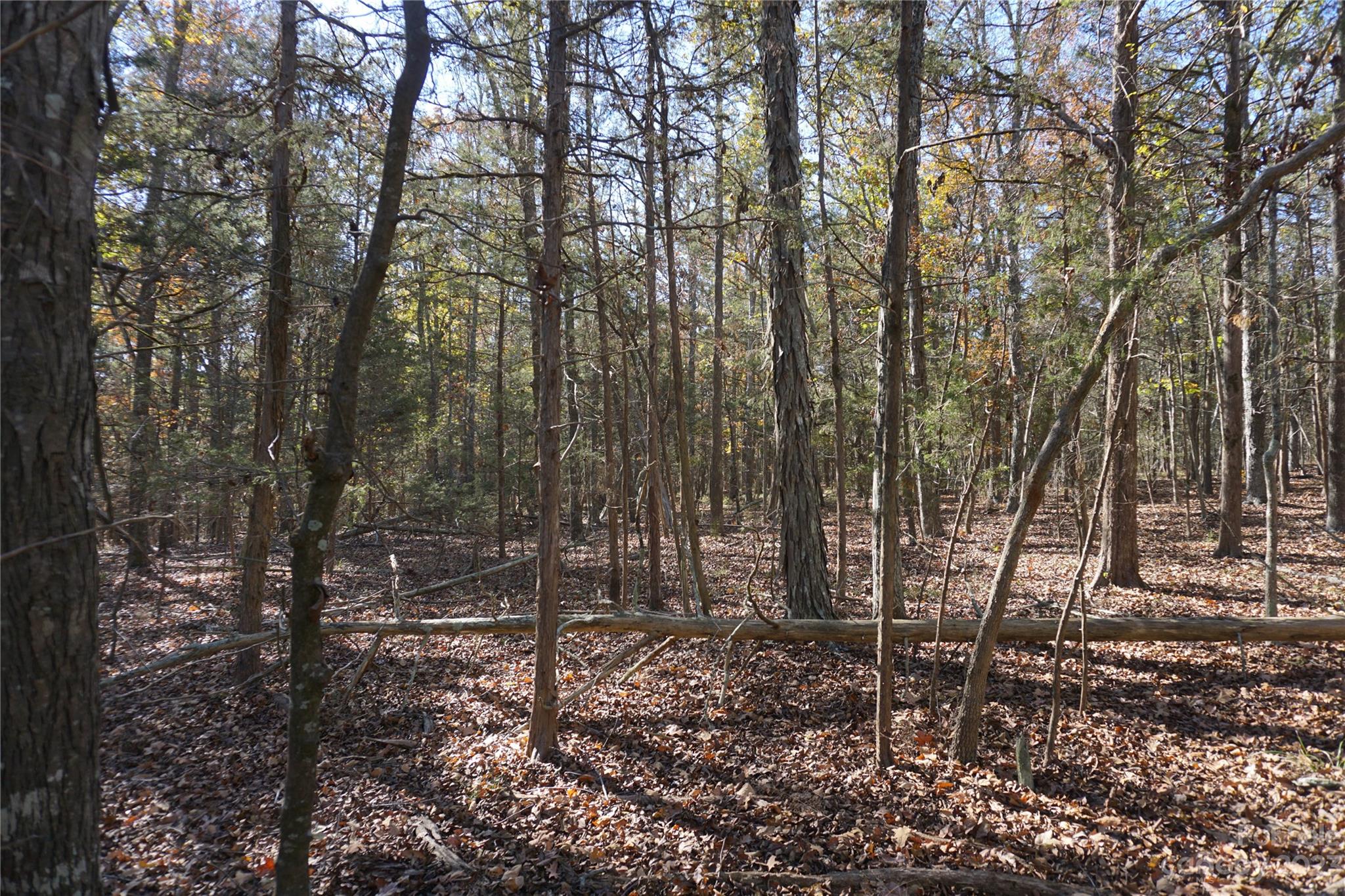 27-ac Bonner Horton Road Sharon, SC 29742 - Photo 10 of 26 a view of outdoor space and yard