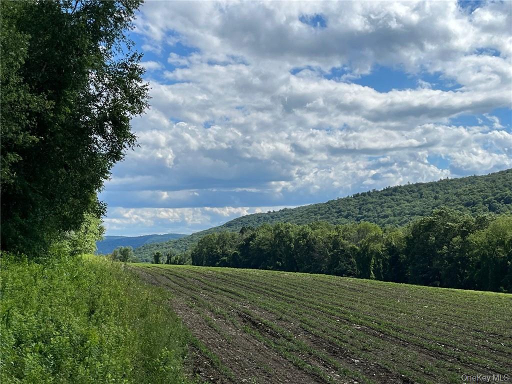 Perrys Corners Road Amenia, NY 12501 - Photo 2 of 14 Property view of mountains featuring a rural view