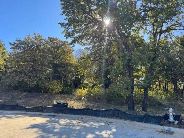 a view of a yard with trees in the background