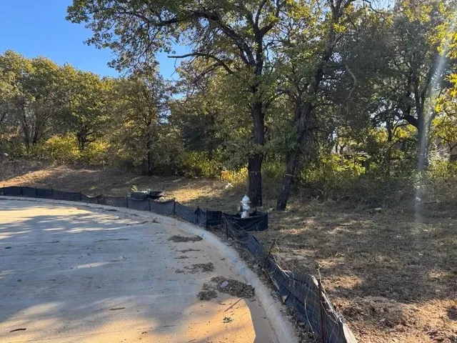 a view of a backyard with large trees