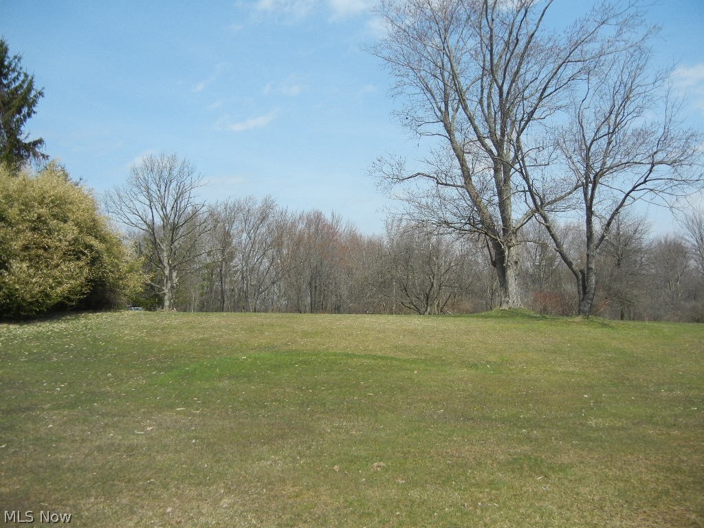 1189 Oakes Road Broadview Heights, OH 44147 - Photo 18 of 19 2.92 acres here to host parties, garden, install a play area...so much room!!