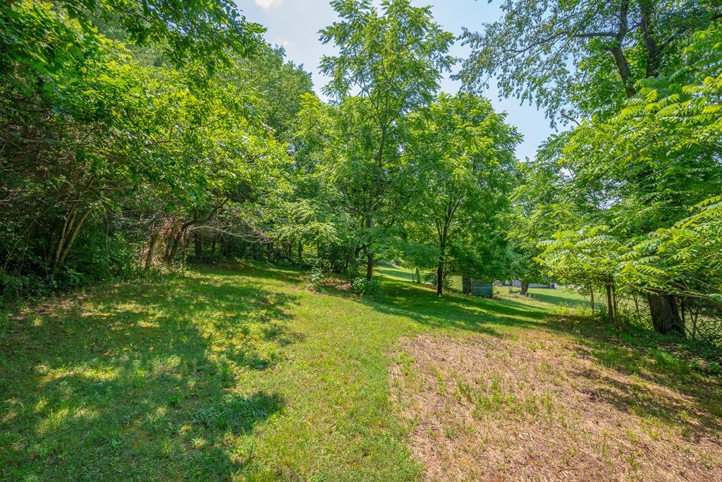 179 Sanders Mines Road Max Meadows, VA 24360 - Photo 35 of 54 Gallery Image 35