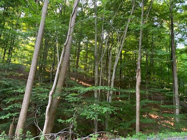 1009 A Six Mile Run Road Six Mile Run, PA 16679 - Photo 5 of 47 Gallery Image 5