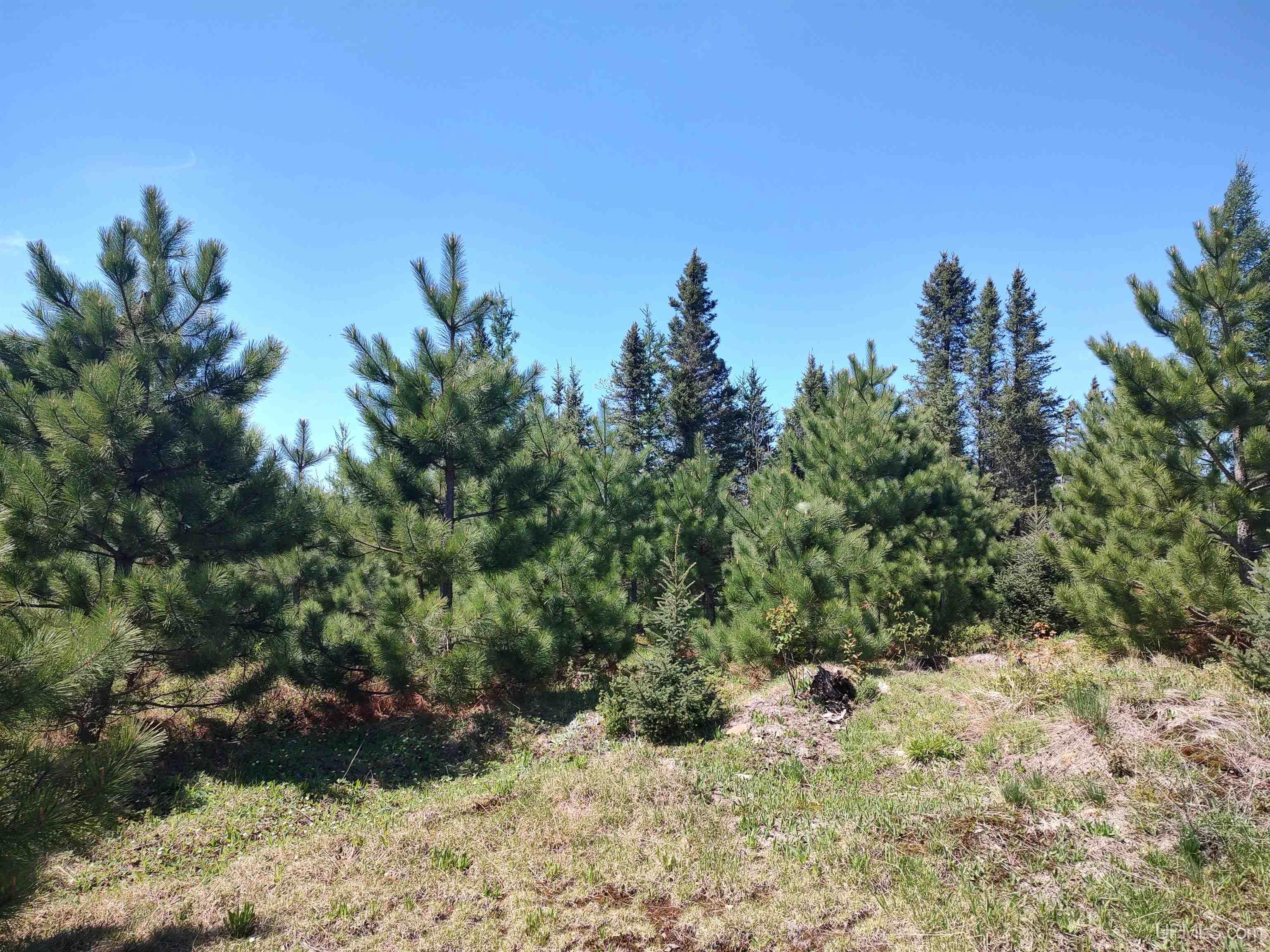 58-acres Co Rd Fn Road Champion, MI 49814 - Photo 25 of 27