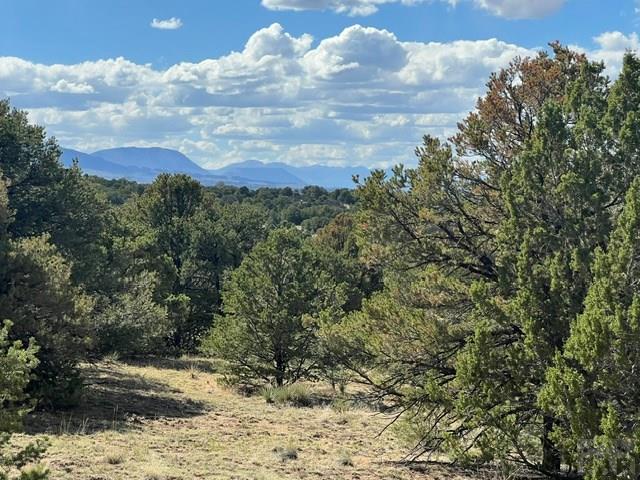 96 River Ridge Trail Walsenburg, CO 81089 - Photo 13 of 28
