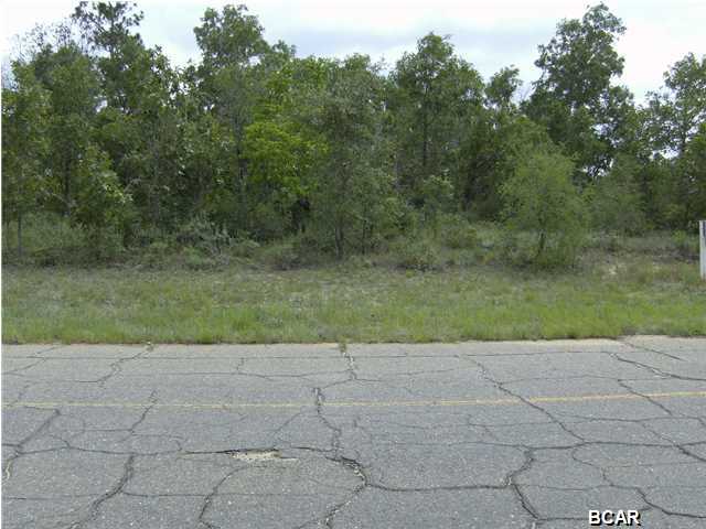 Lot 6 Hazel Lane Chipley, FL 32428 - Photo 4 of 4