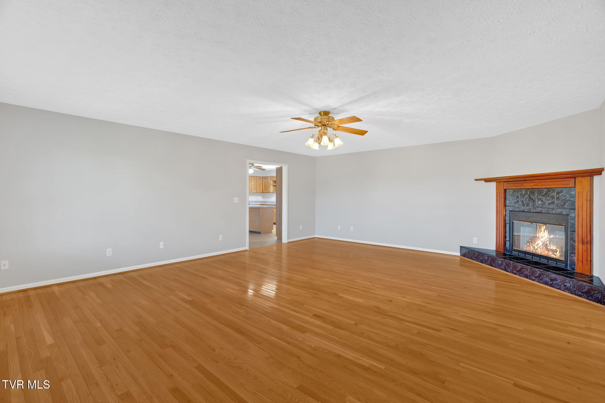 887 Berry Road Bulls Gap, TN 37711 - Photo 16 of 54 39-web-or-mls-DSC05797