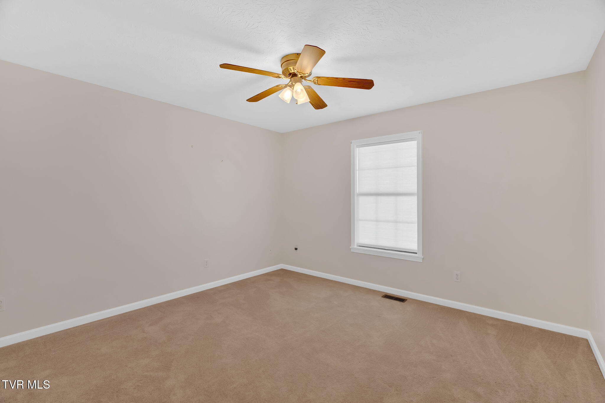 887 Berry Road Bulls Gap, TN 37711 - Photo 19 of 54 28-web-or-mls-DSC05818