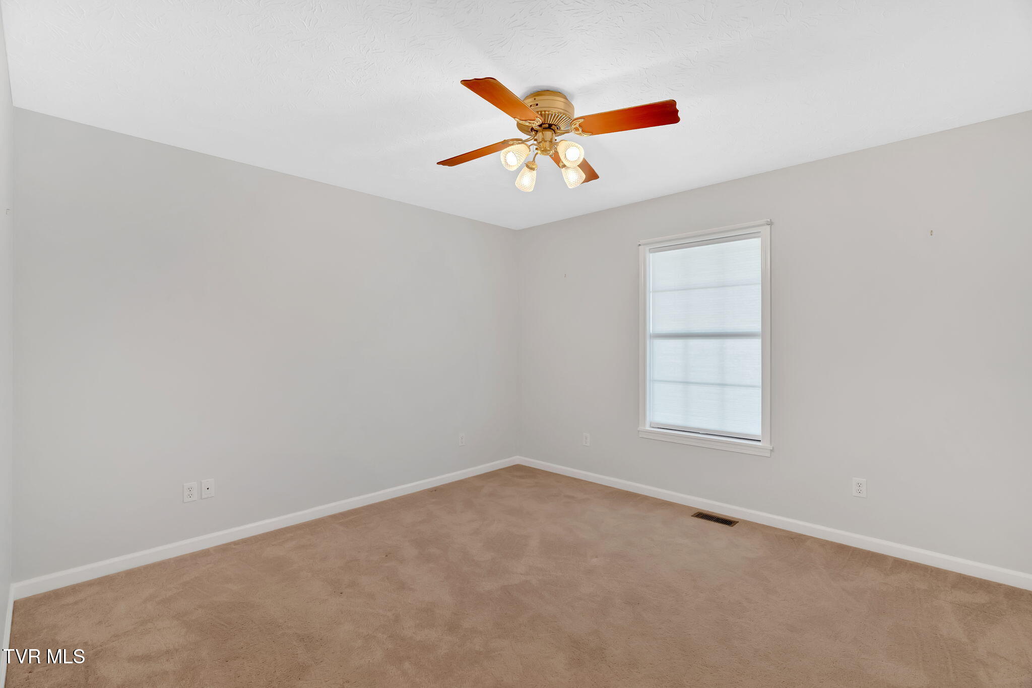 887 Berry Road Bulls Gap, TN 37711 - Photo 21 of 54 49-web-or-mls-DSC05803