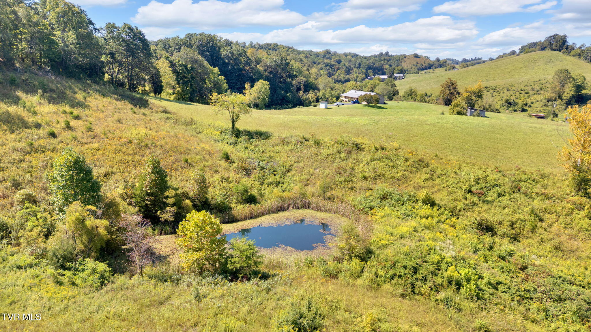 887 Berry Road Bulls Gap, TN 37711 - Photo 49 of 54 32-web-or-mls-DJI_20250909115811_0001_D