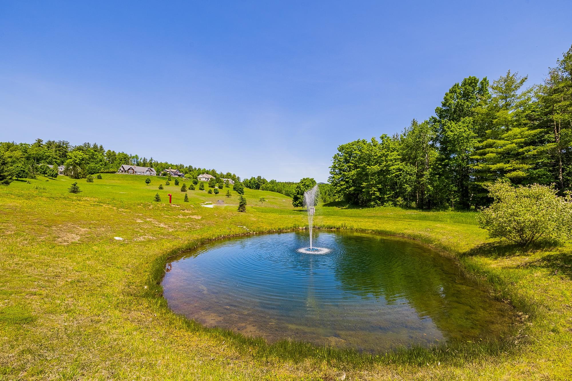 10 Partridge Hill, Unit LOT 10 Manchester Center, VT 05255 - Photo 34 of 40