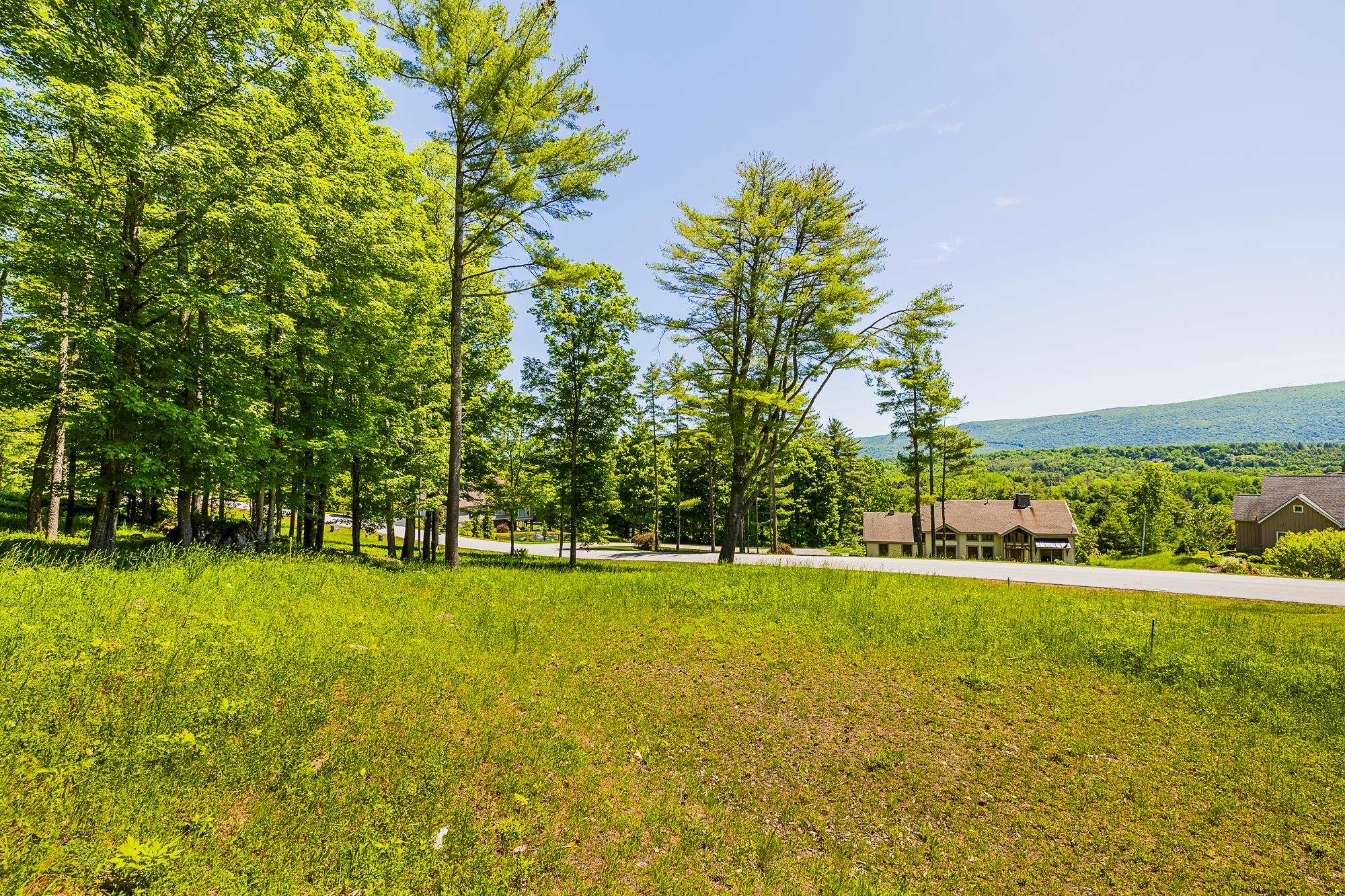 10 Partridge Hill, Unit LOT 10 Manchester Center, VT 05255 - Photo 6 of 40