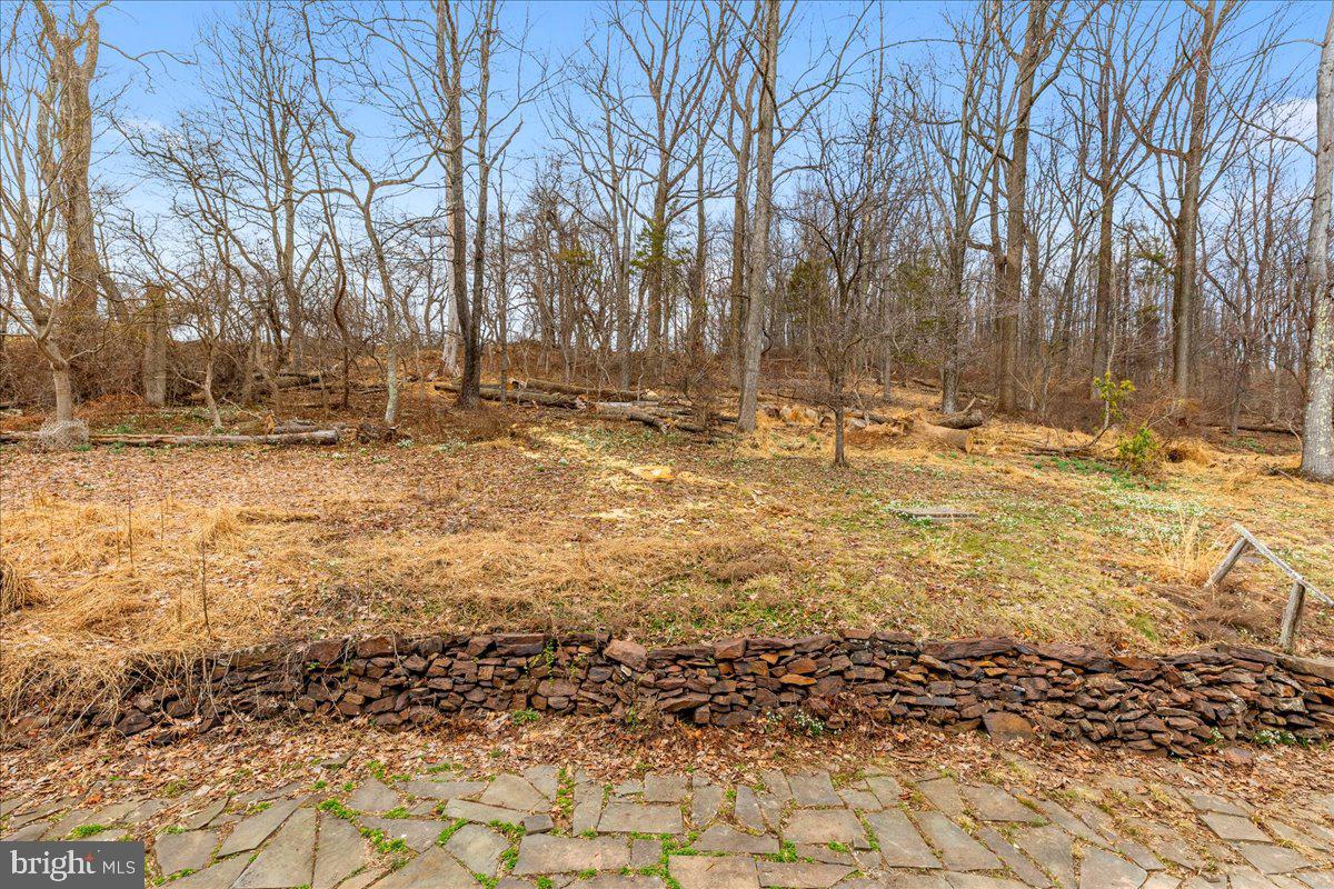 42 Stouts Road Skillman, NJ 08558 - Photo 26 of 32