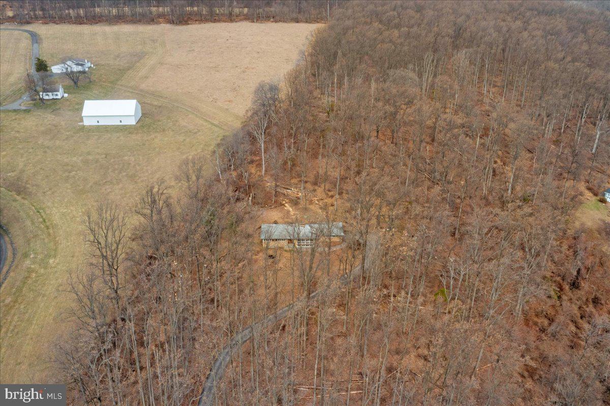 42 Stouts Road Skillman, NJ 08558 - Photo 28 of 32