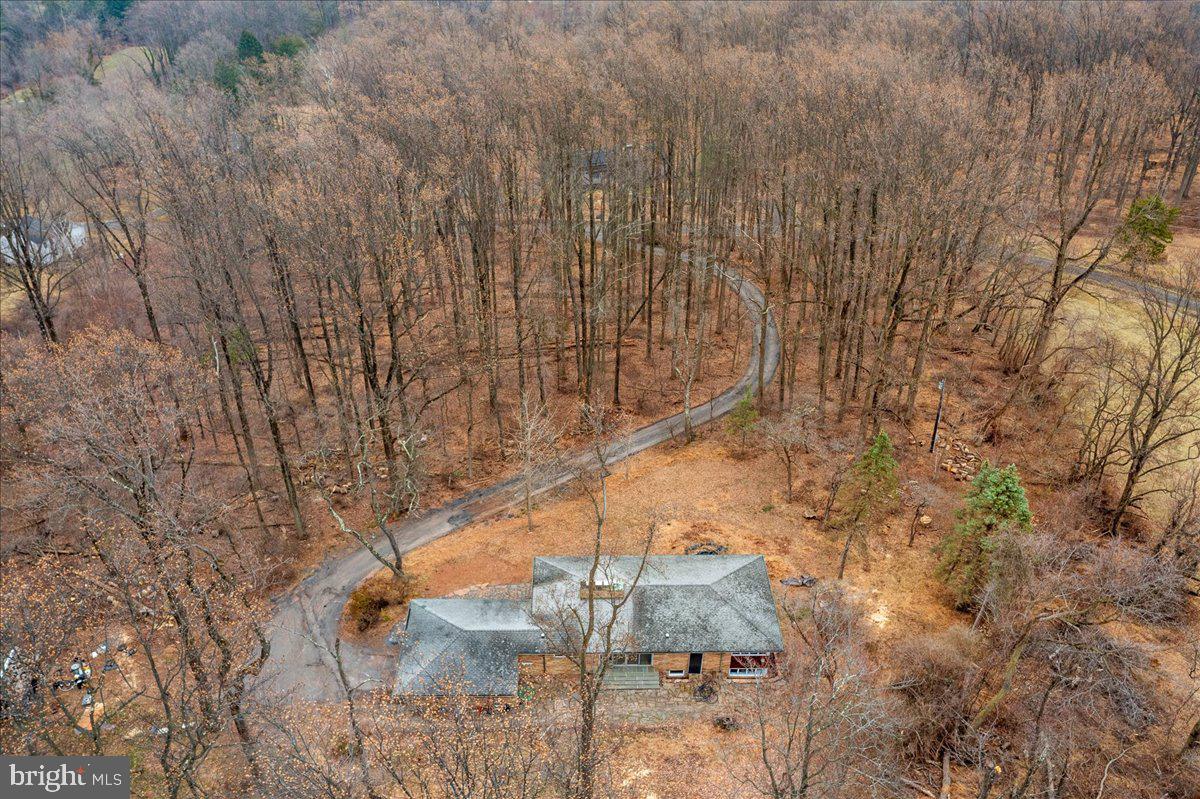 42 Stouts Road Skillman, NJ 08558 - Photo 31 of 32