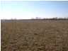 22 Lawrenceburg Road Bloomfield, KY 40008 - Photo 1 of 1 Primary Photo