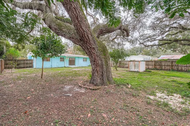 a view of a house with backyard and a tree