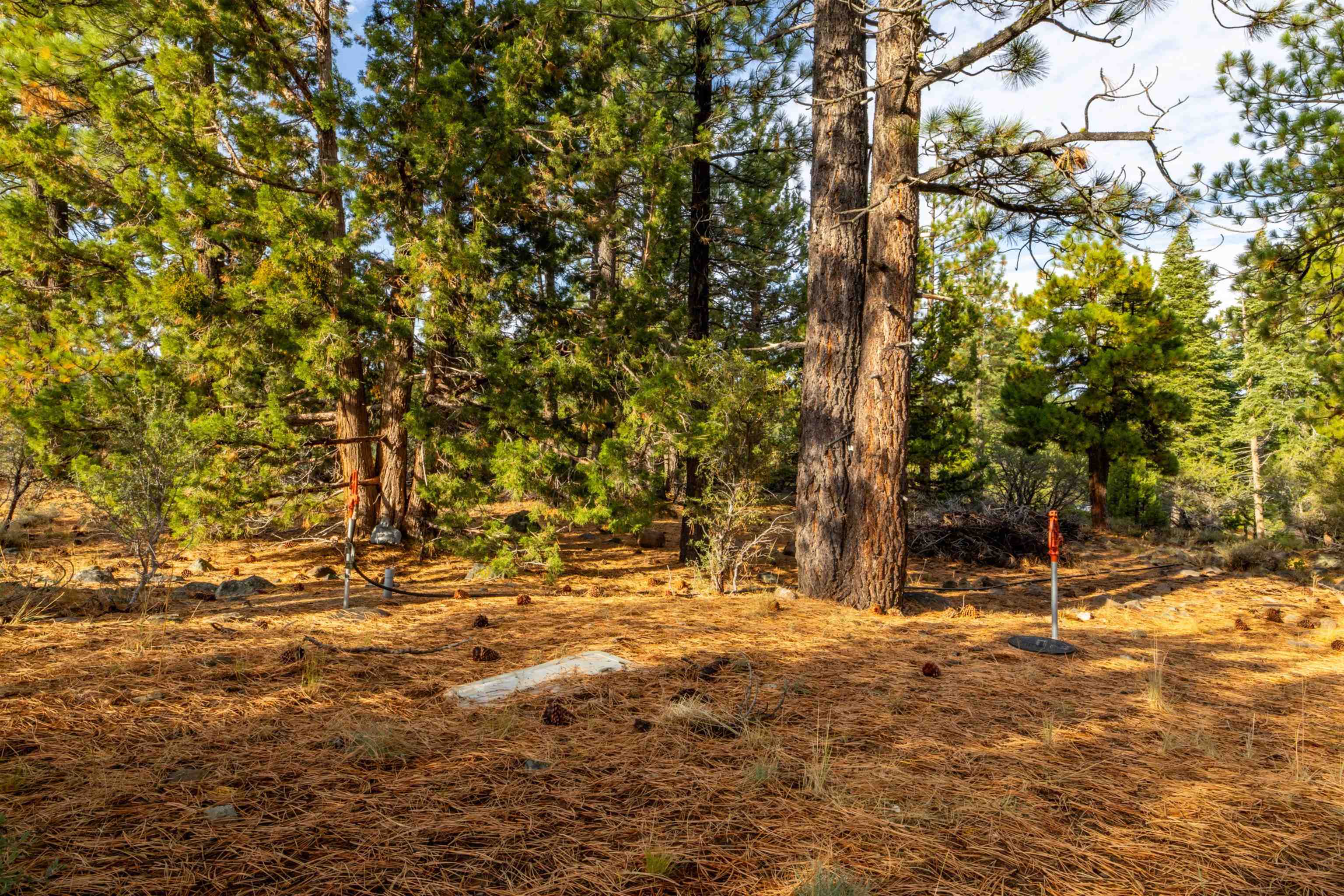 17545 Close Call Ridge Truckee, CA 96161 - Photo 16 of 28