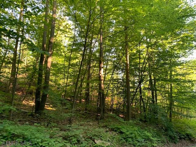 1009 A Six Mile Run Road Six Mile Run, PA 16679 - Photo 15 of 47 Gallery Image 15