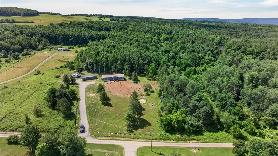 9286 Keuka Highland Road Wayne, NY 14840 - Photo 46 of 48