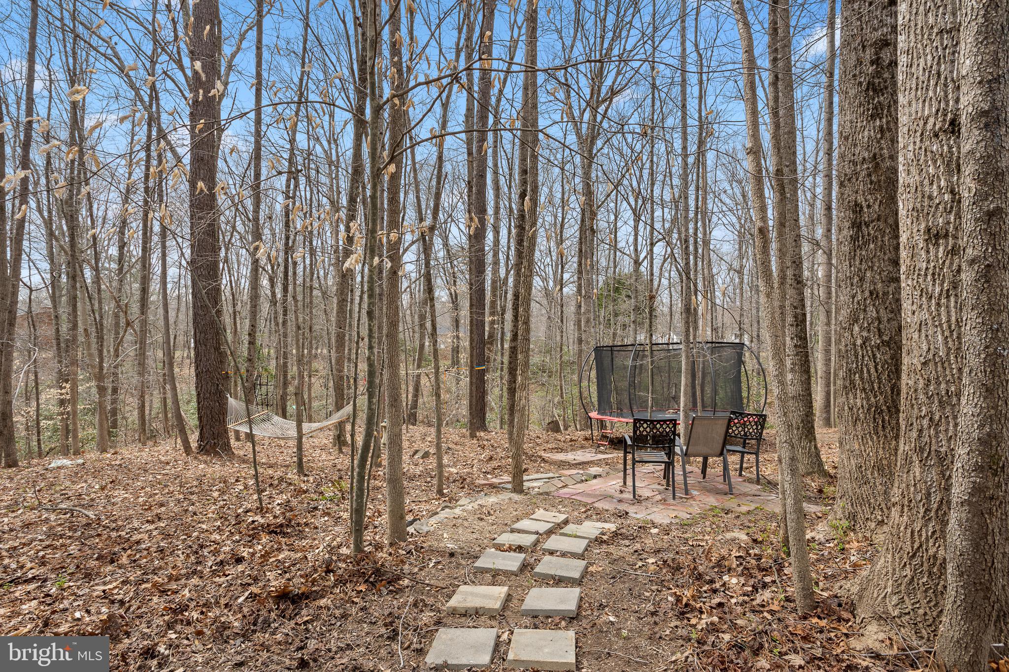 2424 Springbrook Court Huntingtown, MD 20639 - Photo 34 of 36 Rear yard/Woods