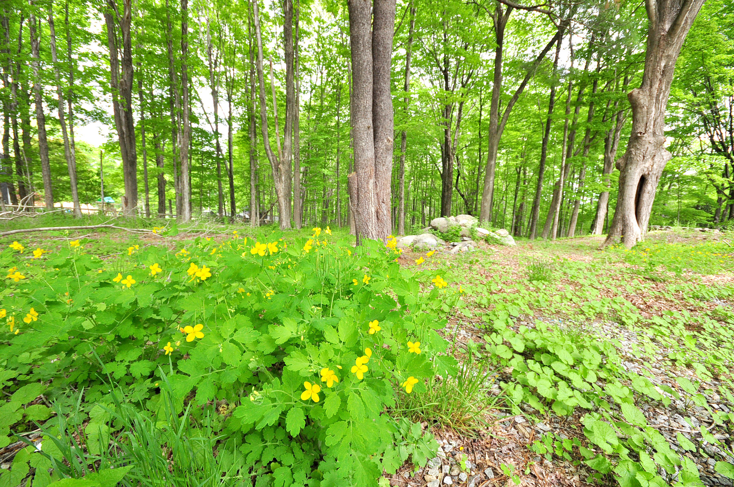 30 Chestnut Hill Road Killingworth, CT 06419 - Photo 3 of 38