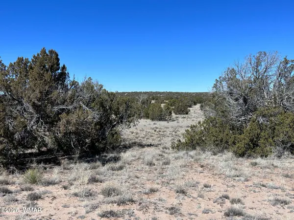 $9,995 | 4 North A N N7204, Springerville, AZ 85938