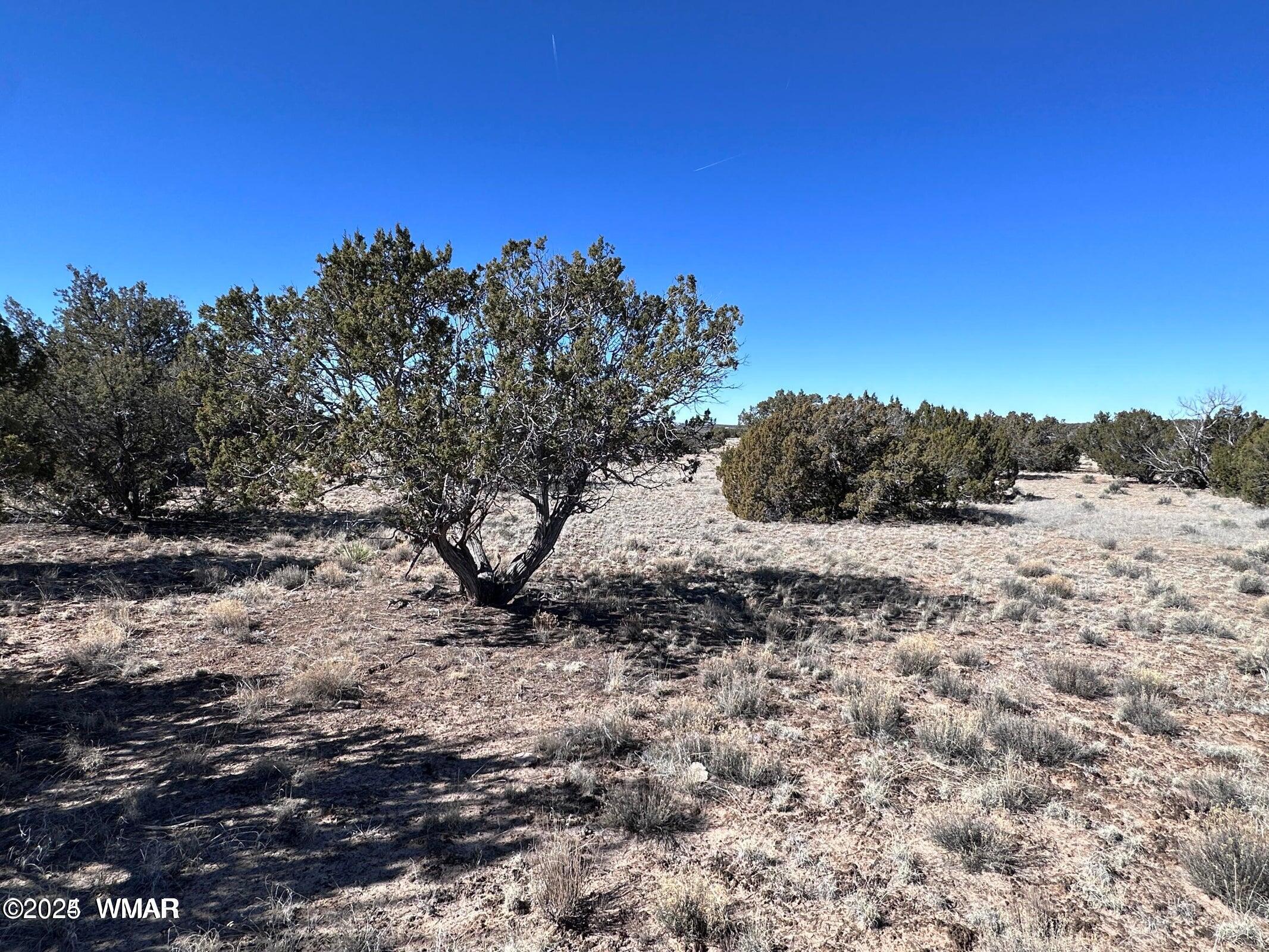 4 North A N N7204 Springerville, AZ 85938 - Photo 2 of 7 004a2