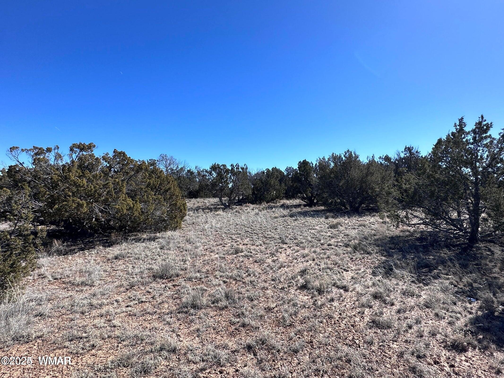 4 North A N N7204 Springerville, AZ 85938 - Photo 3 of 7 004a3
