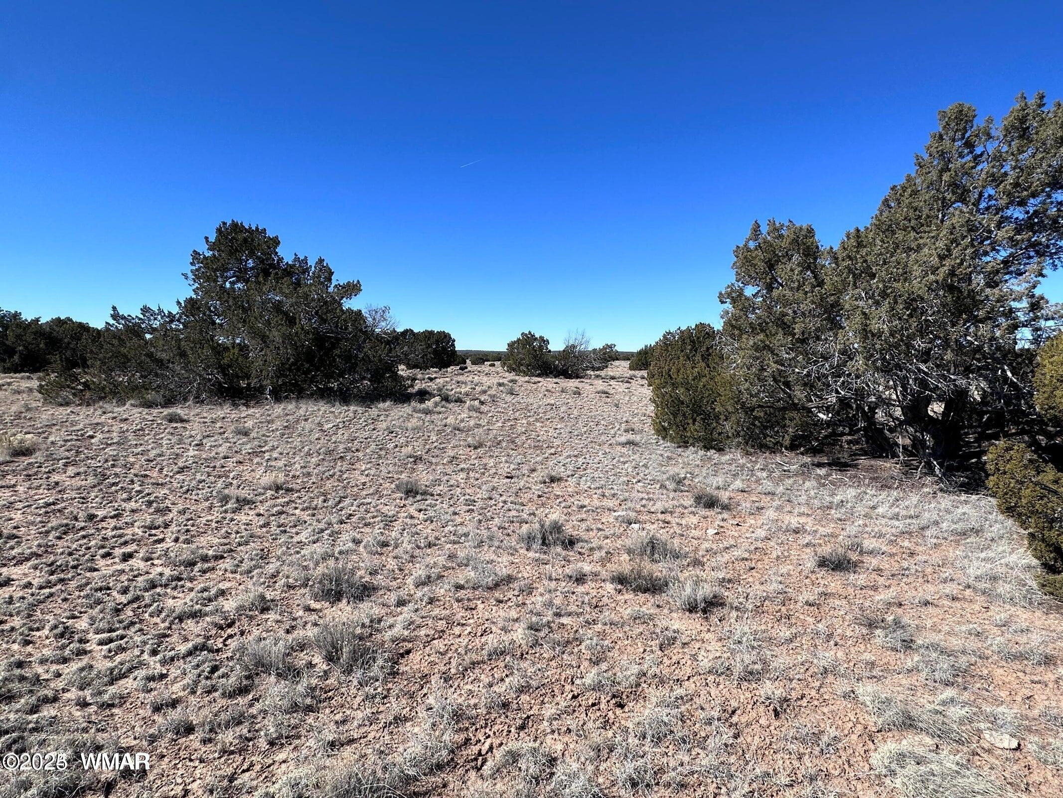 4 North A N N7204 Springerville, AZ 85938 - Photo 4 of 7 004a4