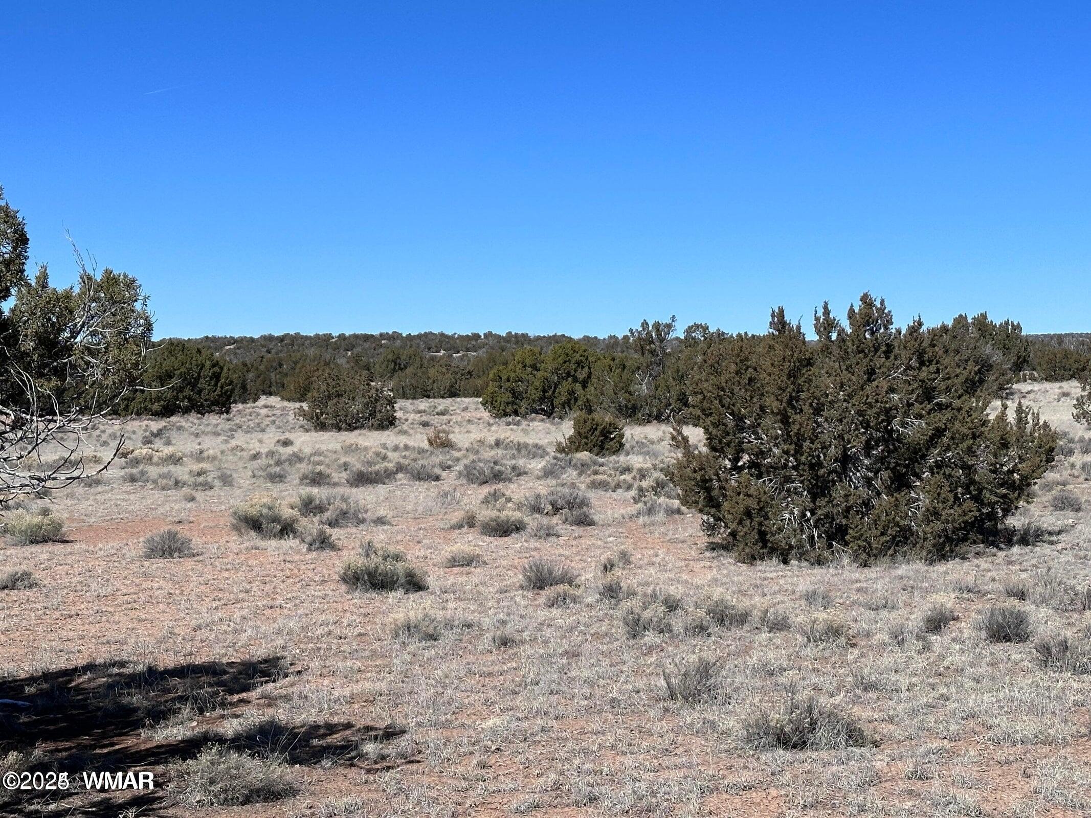 4 North A N N7204 Springerville, AZ 85938 - Photo 5 of 7 004a5