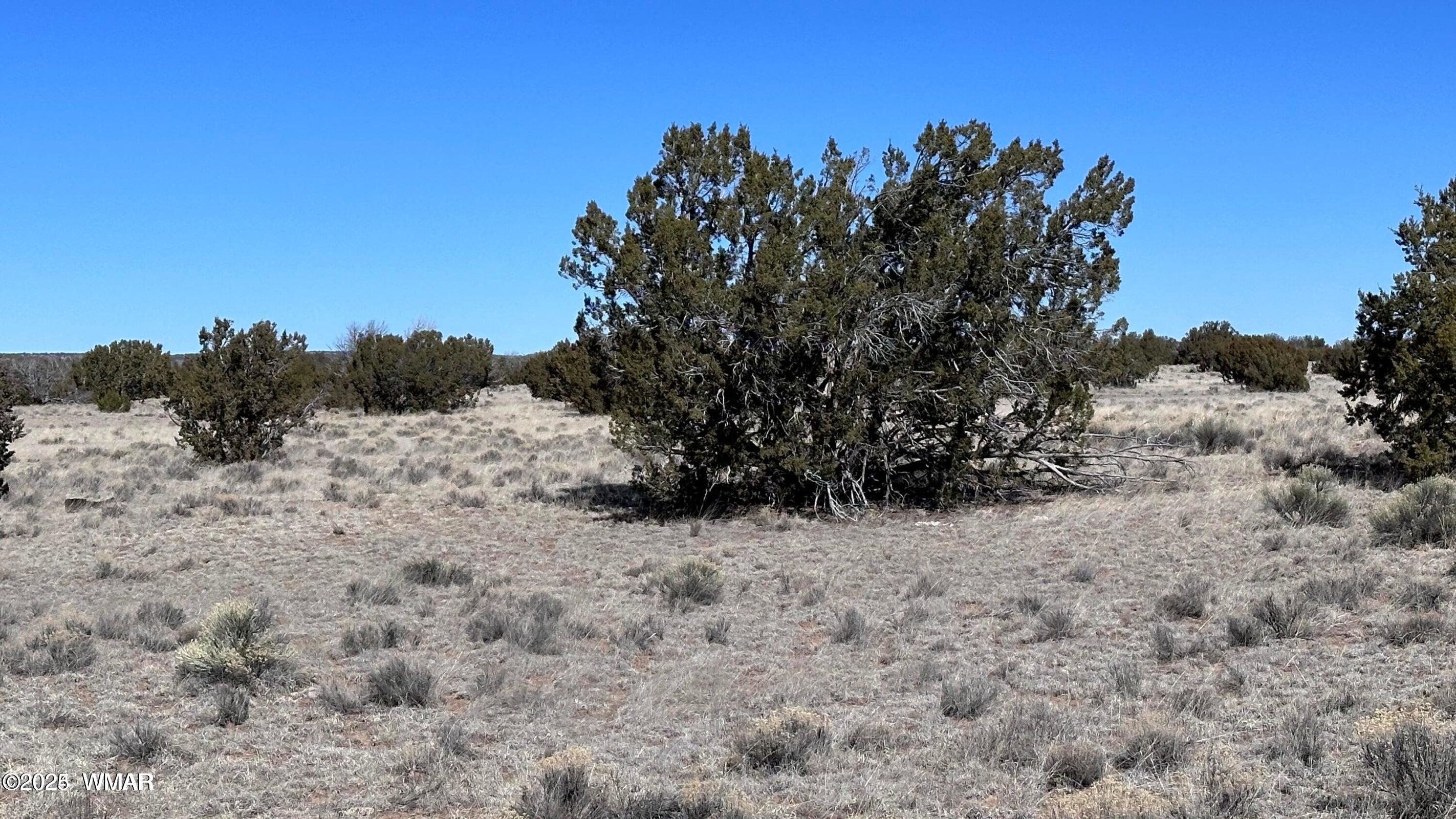 4 North A N N7204 Springerville, AZ 85938 - Photo 6 of 7 004a6
