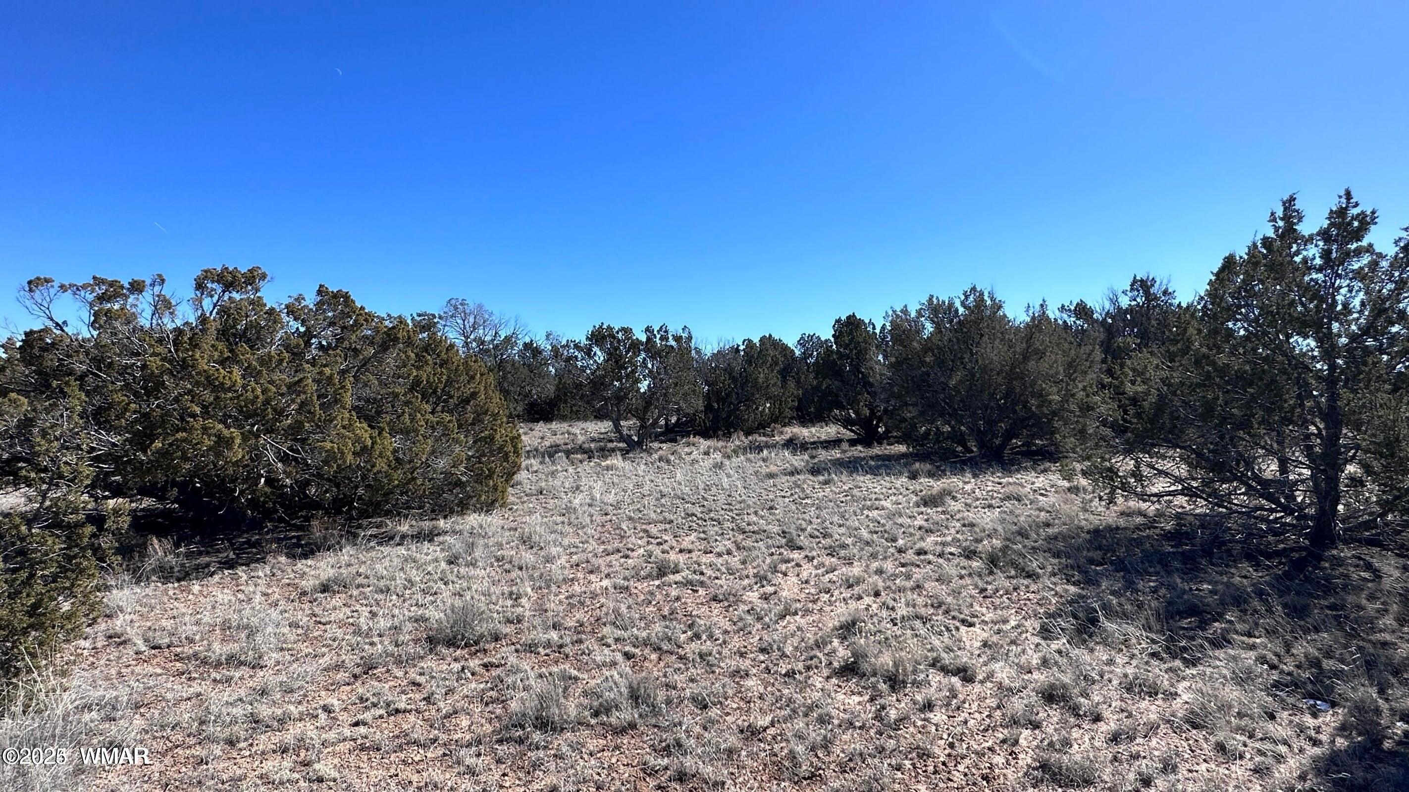 4 North A N N7204 Springerville, AZ 85938 - Photo 7 of 7 004a7