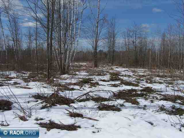 1-2 Highway 25 Iron, MN 55751 - Photo 3 of 6