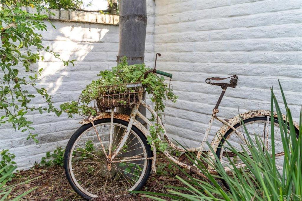 162 Jupiter Street Encinitas, CA 92024 - Photo 15 of 31 a view of a backyard with plants and a patio