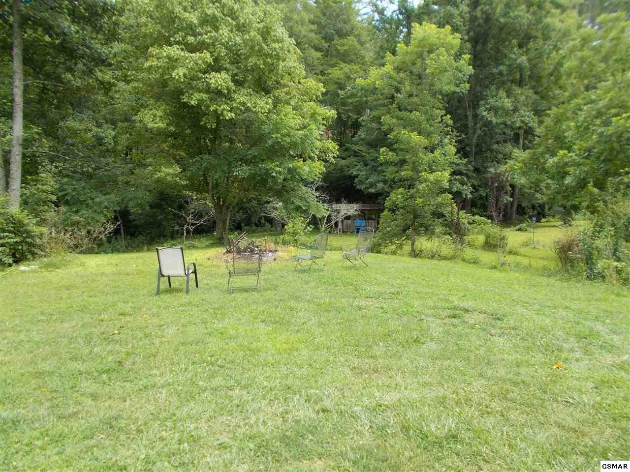 1551 Rocky Top Road Del Rio, TN 37727 - Photo 6 of 15 Gallery Image 6