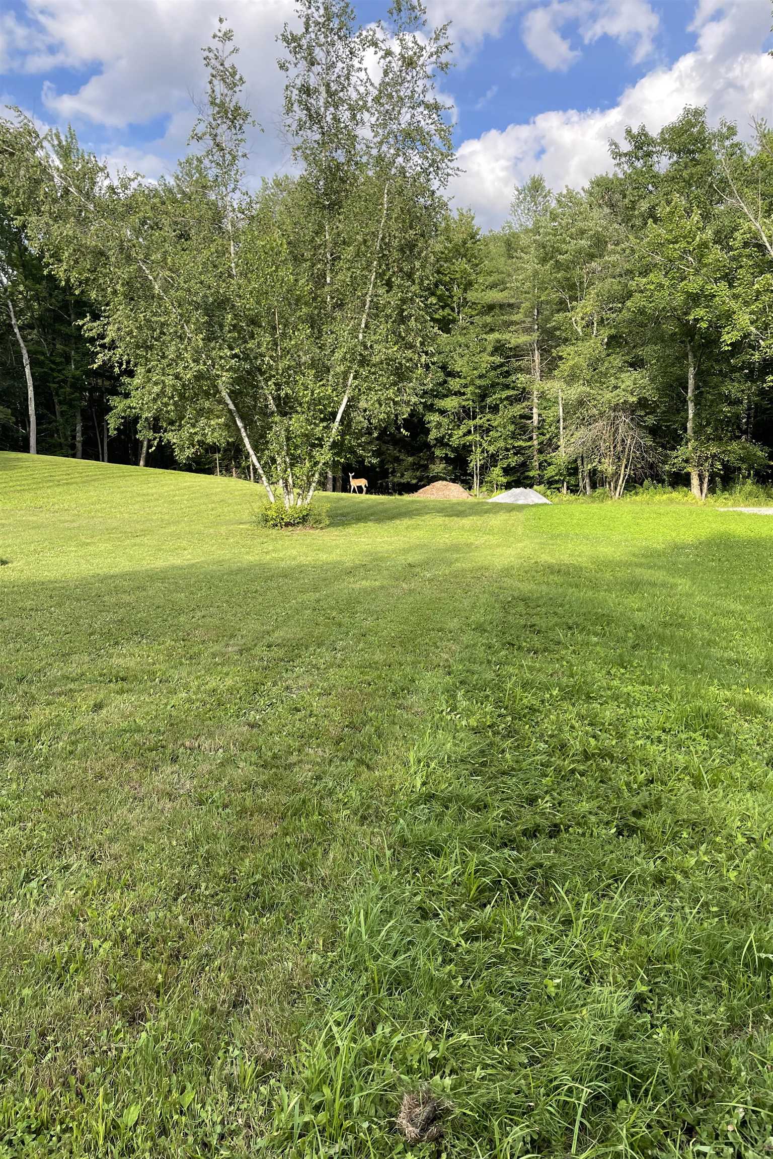 0 Town Line Road Rutland, VT 05701 - Photo 4 of 11 Gallery Image 4