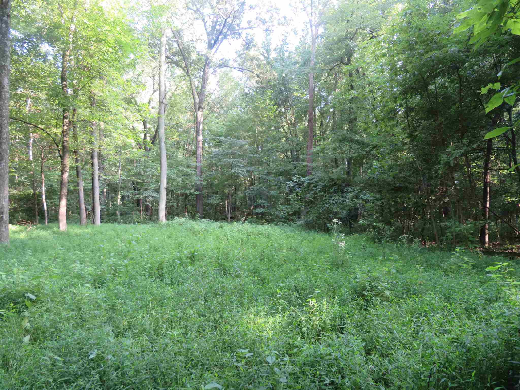 0 Wallace Fork Road Dale, IN 47523 - Photo 1 of 23