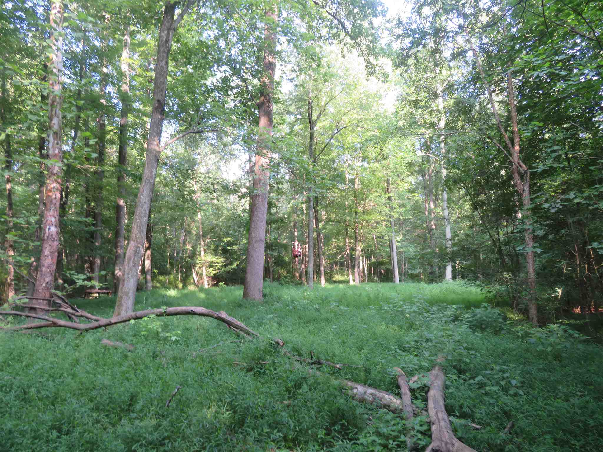 0 Wallace Fork Road Dale, IN 47523 - Photo 2 of 23