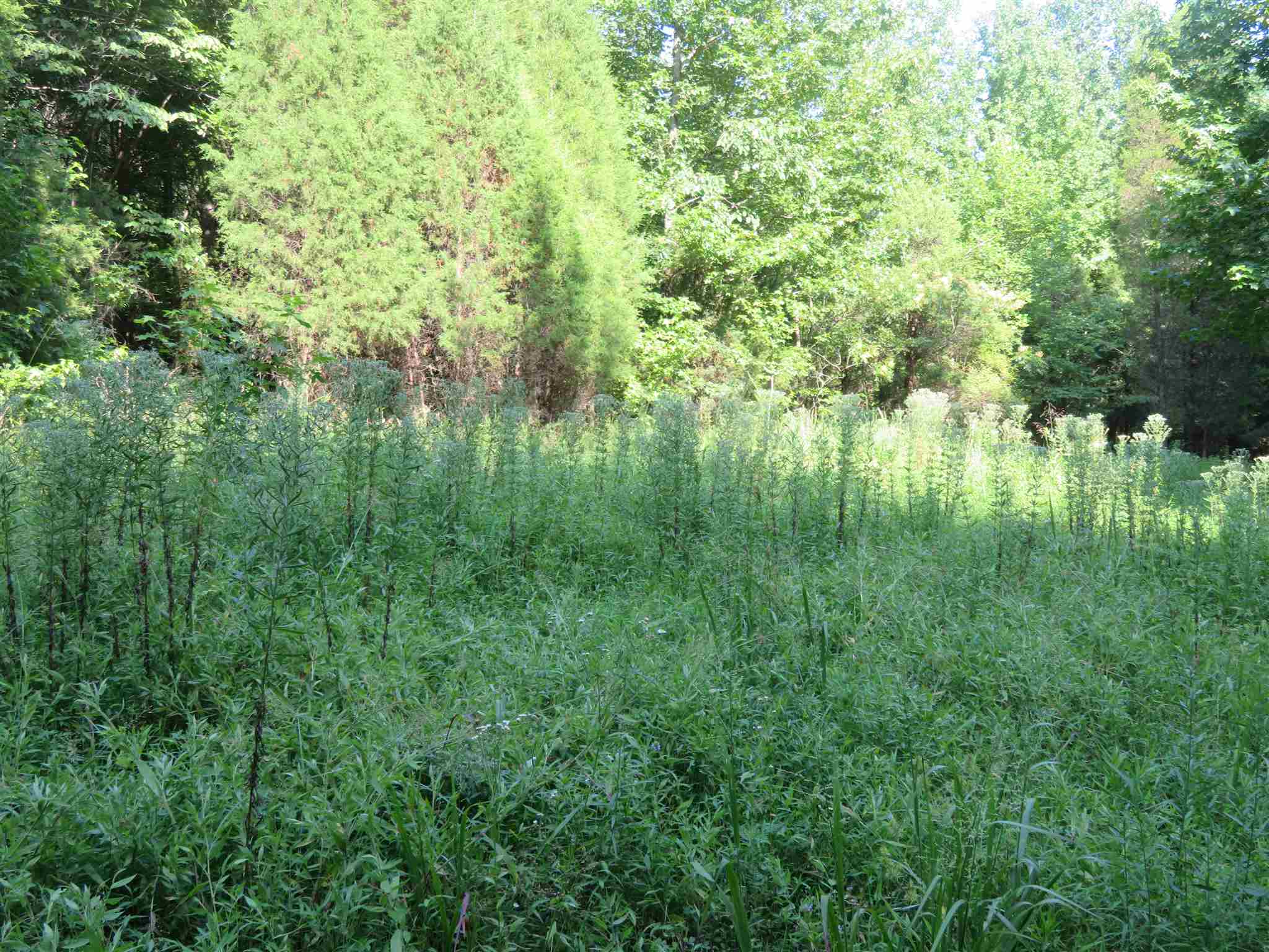 0 Wallace Fork Road Dale, IN 47523 - Photo 11 of 23