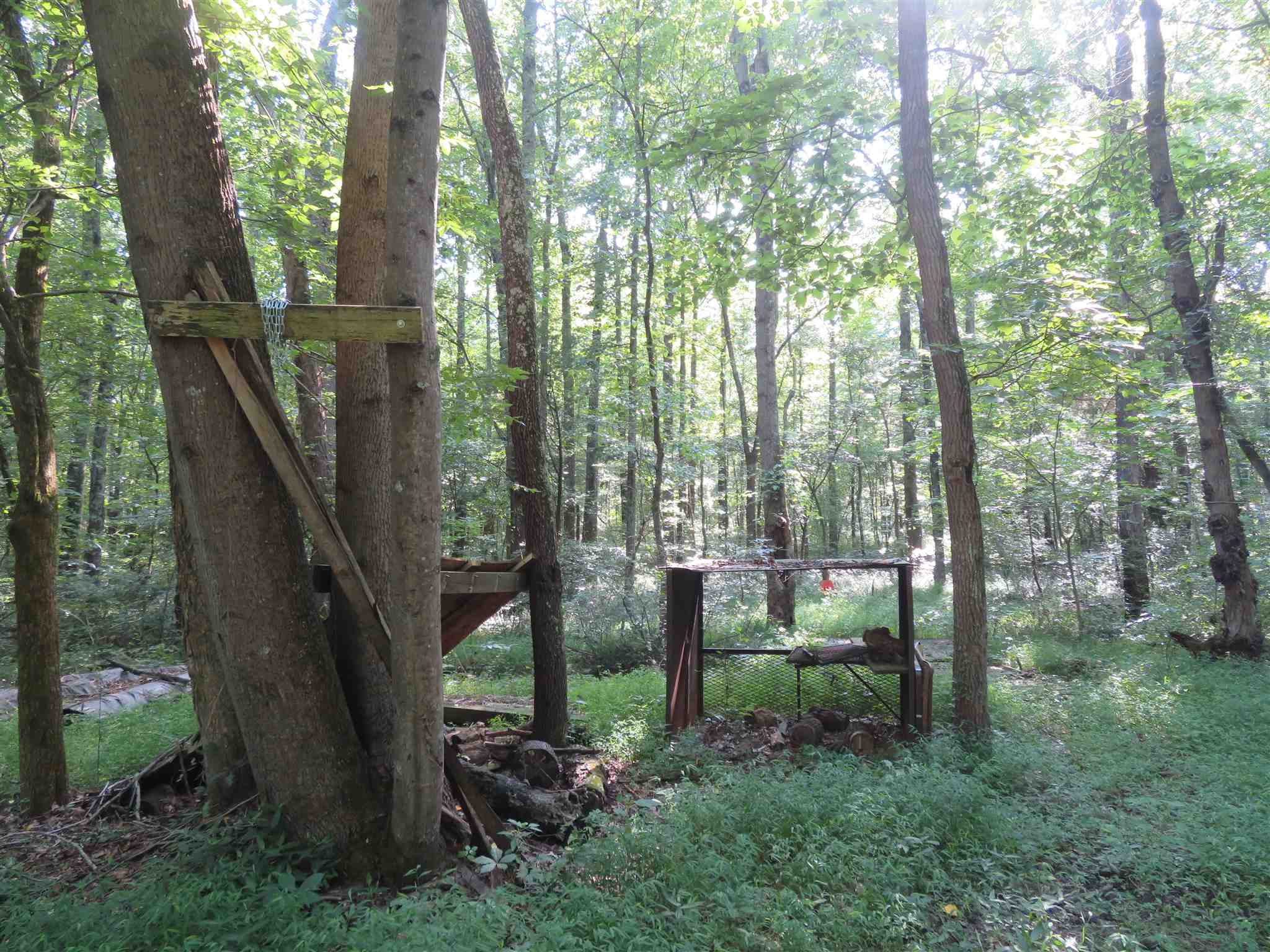 0 Wallace Fork Road Dale, IN 47523 - Photo 13 of 23