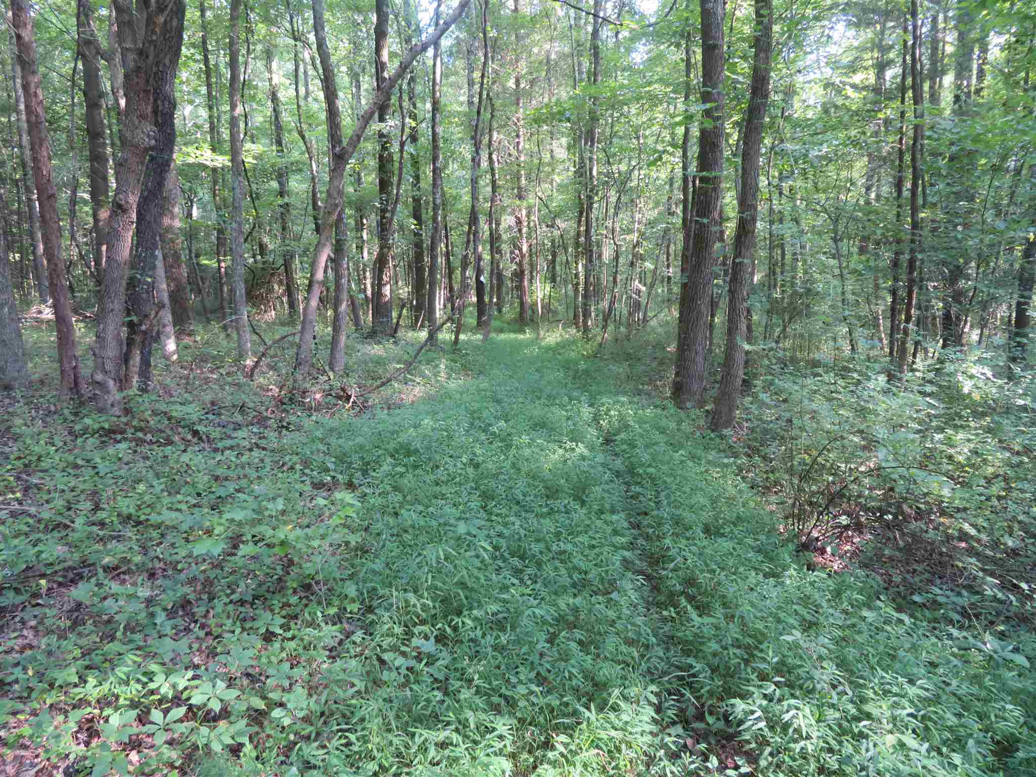 0 Wallace Fork Road Dale, IN 47523 - Photo 15 of 23