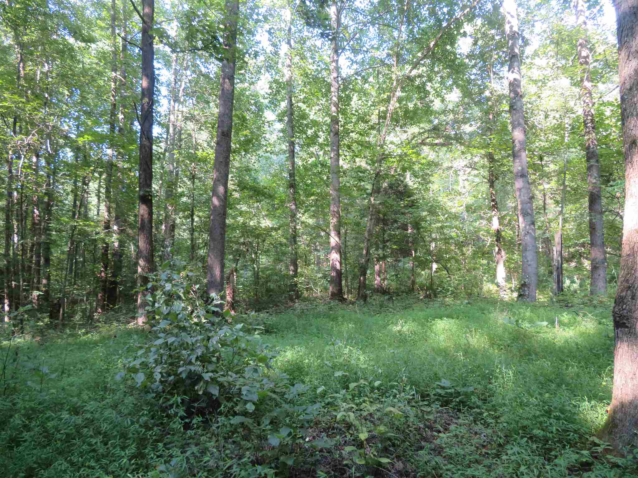 0 Wallace Fork Road Dale, IN 47523 - Photo 17 of 23