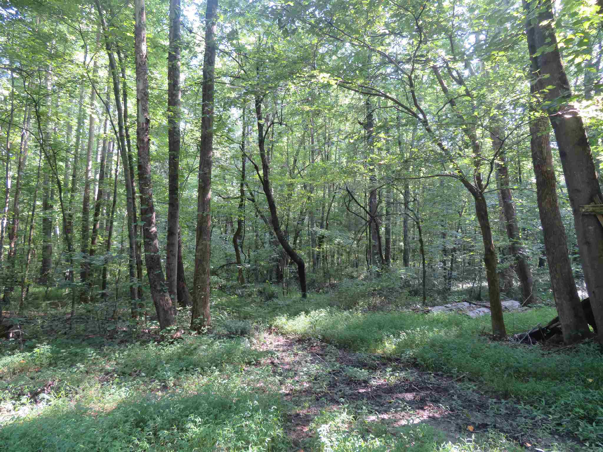 0 Wallace Fork Road Dale, IN 47523 - Photo 18 of 23