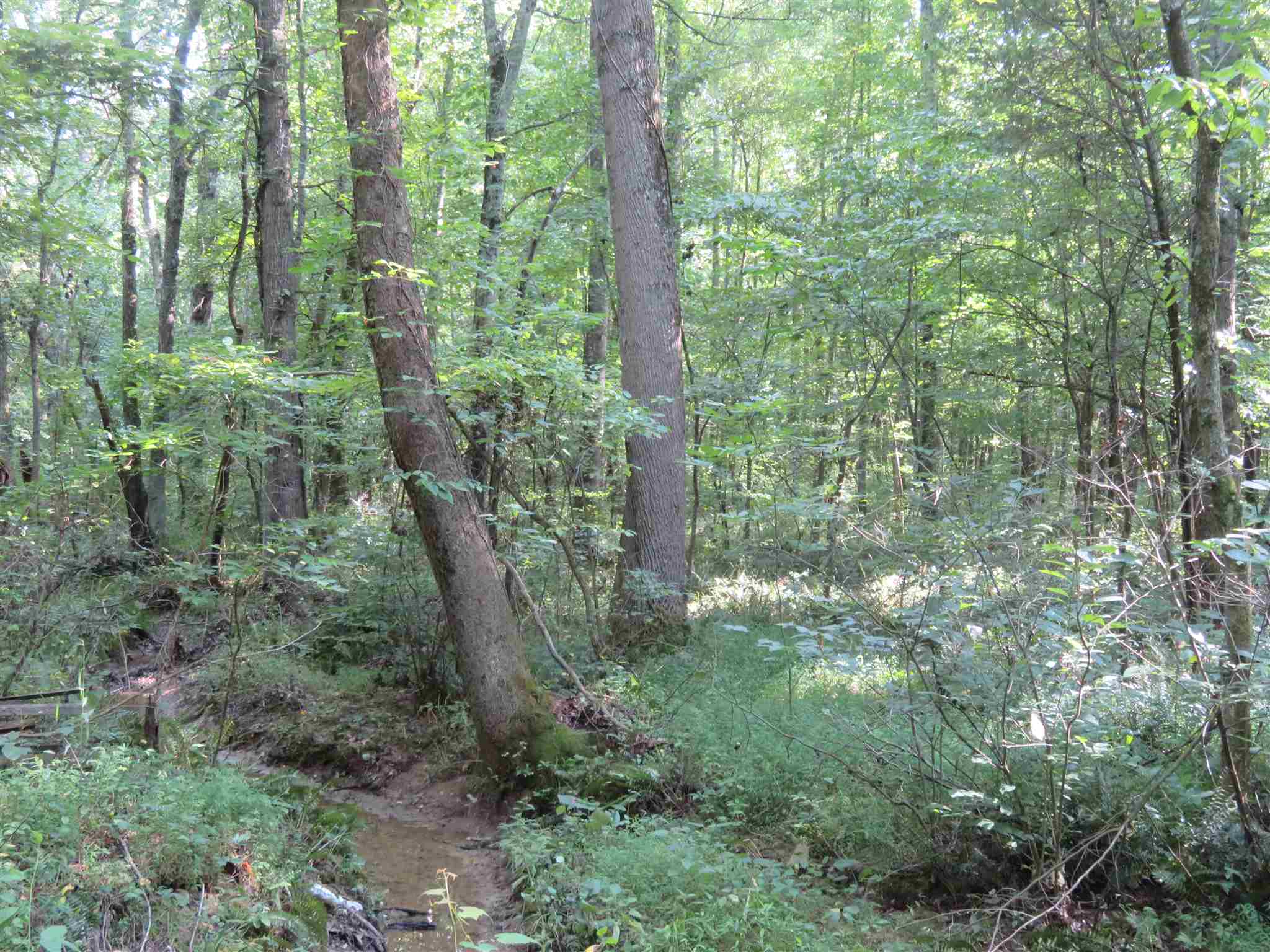 0 Wallace Fork Road Dale, IN 47523 - Photo 8 of 23