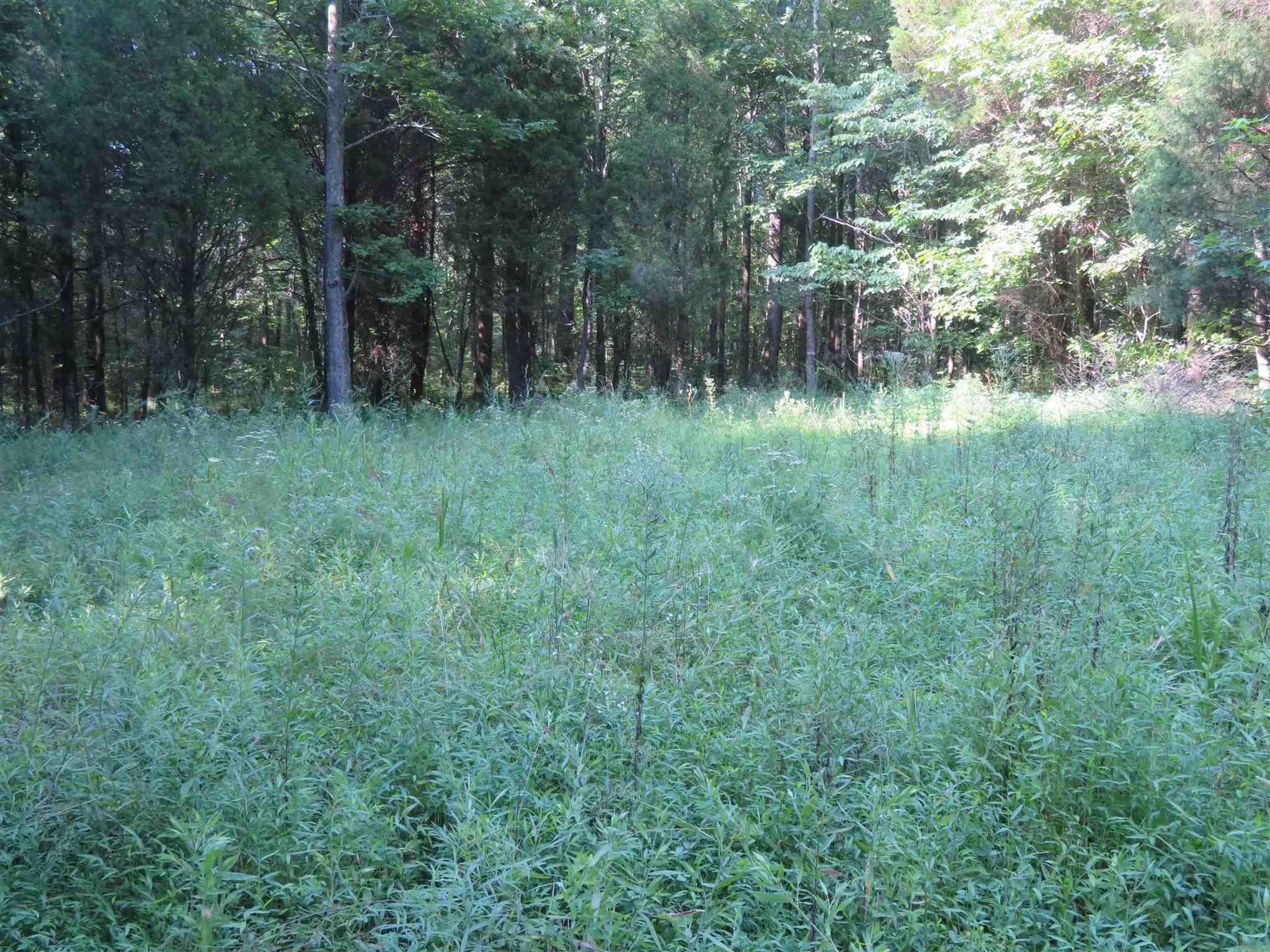 0 Wallace Fork Road Dale, IN 47523 - Photo 10 of 23