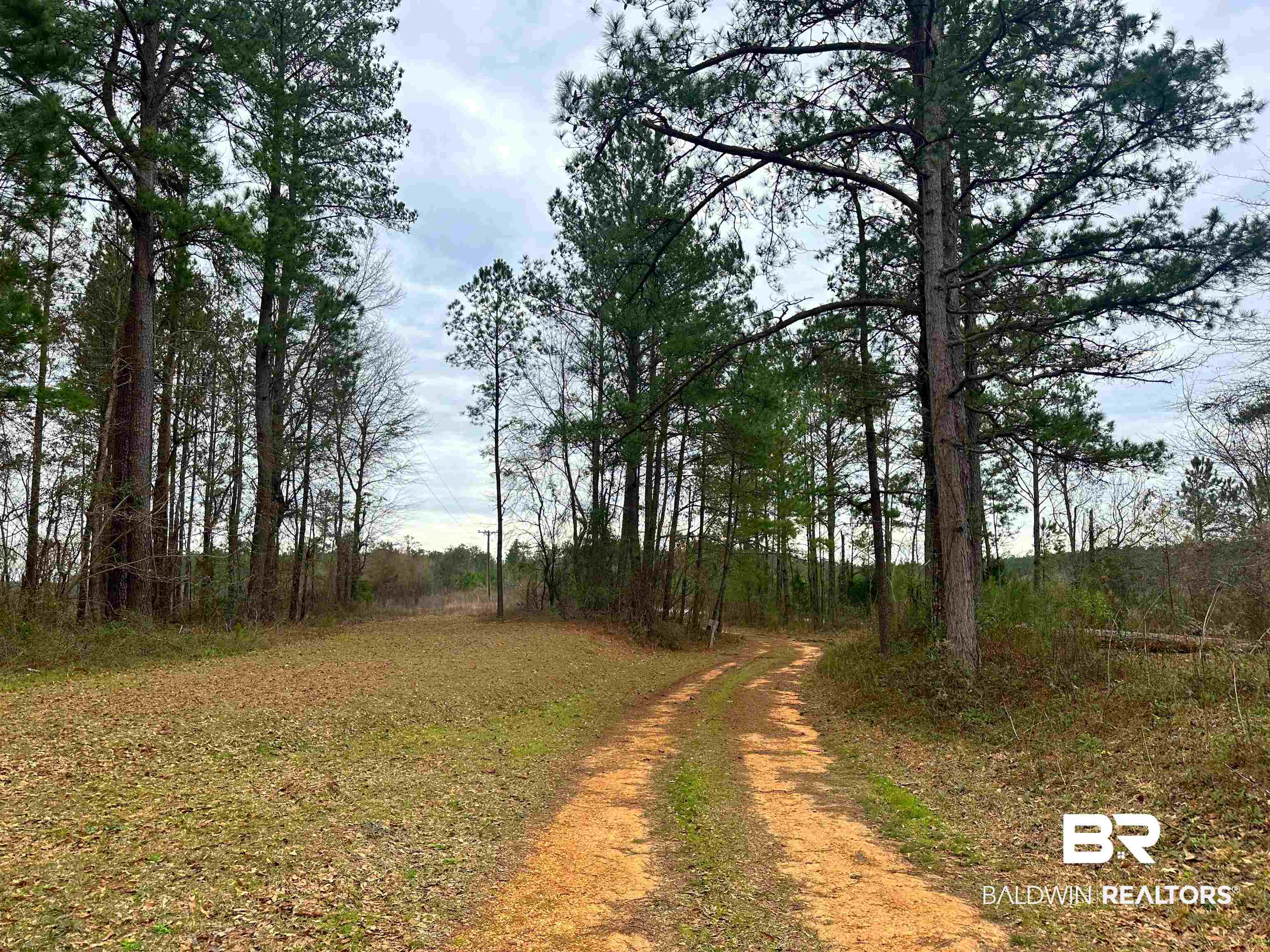 6004 Loree Road Evergreen, AL 36401 - Photo 7 of 7