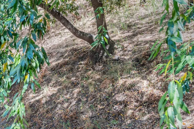 $1,299,950 | 2411 Carlmont Drive, Unit 110, Belmont, CA 94002