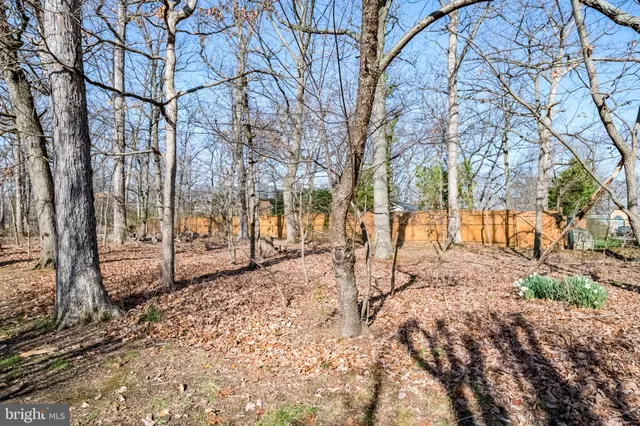 a view of road and trees
