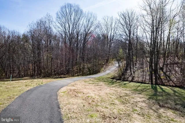 a view of outdoor space with trees